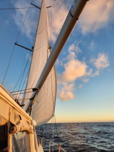 Au fil de l’eau, carnet n°30 – TRANSPACIFIQUE – Juillet 2026 – ÉTAPE II – Traversée GALAPAGOS – RAPA NUI